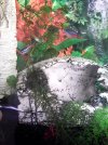 IMG_20161229_130536.jpg