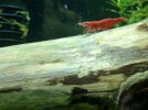 IMG-20170109-WA0038.jpg