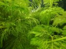 IMG-20170109-WA0031.jpg