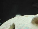 IMG_20170110_193958.jpg