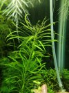 IMG-20170111-WA0015.jpg