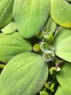 IMG-20170111-WA0026.jpg