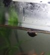 20170116_20085622222.jpg