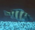 20170205_015550.jpg
