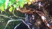 20170219_221731.jpg