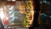 20170227_222028.jpg 20170227_222028.jpg