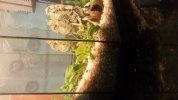 20170227_222056.jpg 20170227_222056.jpg