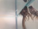 20170228_142609.jpg