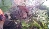 20170228_133415.jpg
