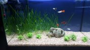20170306_131952.jpg