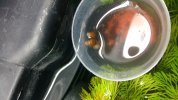 20170410_121118.jpg