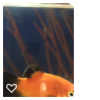 descarga  2.png