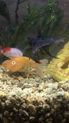 IMG-20170426-WA0008.jpg