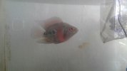 20170430_140347.jpg