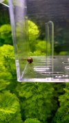 acuario (35).jpg