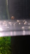 acuario (36).jpg