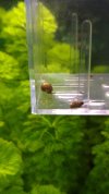 acuario (38).jpg