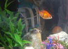 IMG_20170511_100838.jpg