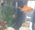 IMG_20170511_100910.jpg