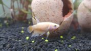 20170520_150256.jpg