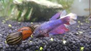 20170520_150307.jpg