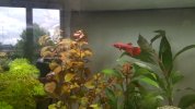 20170520_151029.jpg