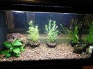 acuario.jpg