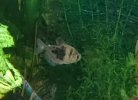 _20170525_150022.JPG