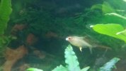 20170529_200541.jpg