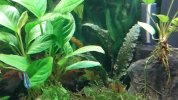 20170525_222348.jpg
