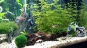 20170525_222213.jpg