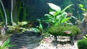 20170525_222147.jpg