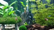 20170525_222054.jpg