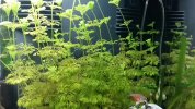 20170525_221959.jpg