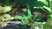 20170525_221926.jpg