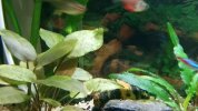 20170525_221908.jpg
