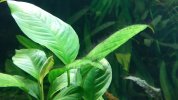 20170525_221759.jpg