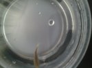 20170617_160512.jpg