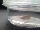 20170617_160537.jpg