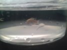 20170617_160619.jpg