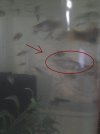 20170617_151454.jpg