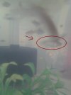 20170617_151633.jpg