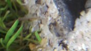 20170622_113953.jpg