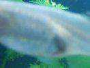 20170622_160758.jpg