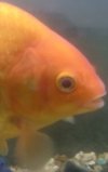 _20170623_195022.JPG