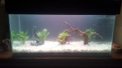 20170711_000602.jpg