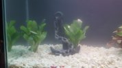 20170711_000605.jpg