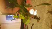20170711_210837.jpg