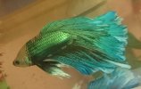 _20170813_141020.JPG _20170813_141020.JPG