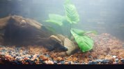 rps20170908_234248.jpg